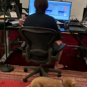 5.4K views · 131 reactions | Flume qui remix le légendaire 'Blue' d'Eiffel65, quelle merveille ! ✨ | Rave Feed | Facebook