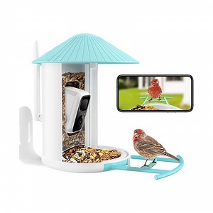 Watch birds on live with your phone. “Never get tired of these beautiful birds!” Birds stand & adjustable lens angle make Birdfy suitable for any size of birds! No need to charge if you’ve connect a Solar Lite. | Birdfy by Netvue