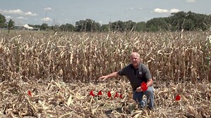14K views · 79 reactions | Two kernels per square foot = one bushel loss in corn. Take a minute to know your cost from header loss. Here's an easy way to check. https://youtu.be/f89exvb8dKM | 360 Yield Center | Facebook
