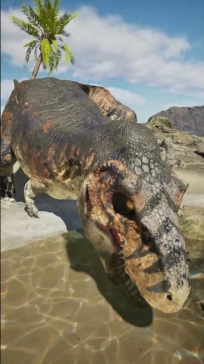 POV: You met a T Rex on vacation 🏖️🦖