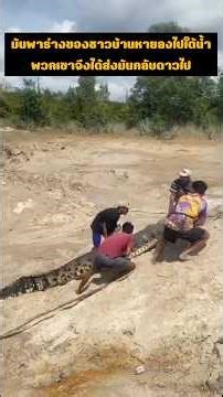มันพาร่างของชาวบ้านหายลงไปใต้ น้ำพวกเขาจึงได้ส่งมันกลับดาวไป #wildlife #buaya #crocodile #ular