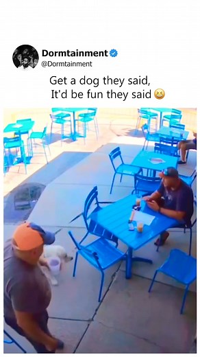 Watch how he trips everything over. #fblifestyle | Dormtainment