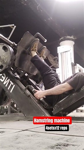 hamstring machine/تمرين الهامسترنك #الاجسام #motivation #محركات #اكلتك