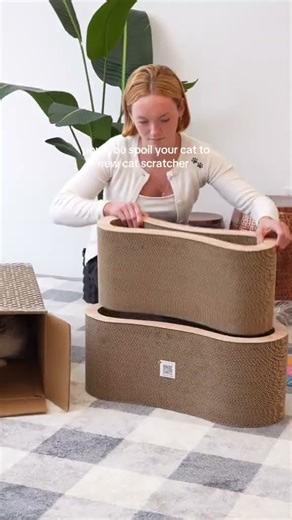 Cat Scratcher Unboxing