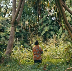 Aloha is more than hello or goodbye. It’s love. It’s connection. It’s what we need right now. Mahalo for your understanding that this isn’t the time to visit the Hawaiian Islands. Until we can share our home with you again, we’ll be sharing aloha – and welcome you to do the same. #ShareAloha | Hawaii – gohawaii.com