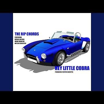 Hey Little Cobra