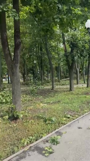 Breaking News on Reels