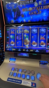 86K views · 742 reactions | $800 per cactus on Wild Stallion Gold!! #slots #pokies #pokiewins #casino #gamble | Pokie Wins | Facebook