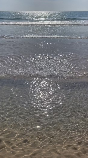 Playa de San Juan Alicante y Playa de Muchavista El Campello. #alicante #elcampello #costablanca #comunidadvalenciana #españa #playadesanjuan #playademuchavista #mediterráneo #mediterraneo #playa #beach #mar #sea #may #springtime #primavera @alicante_city @elcampelloayto @campelloturismo @costablancaorg @comunitat_valenciana | Costa Blanca Noticias