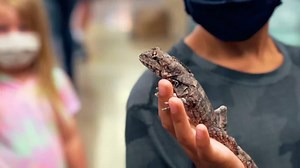 Perfect for kids of all ages! Discover your wild side with our hands-on interactive approach to learning about reptiles! | The Reptarium