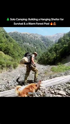 Solo Camping: Building a Hanging Survival Shelter
