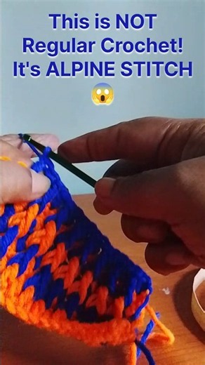 🏔️ How To Crochet ALPINE STITCH |This is NOT Regular Crochet!😱 #crochet