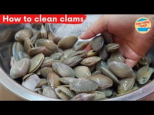 How to Clean Clams | Cleaning Lala