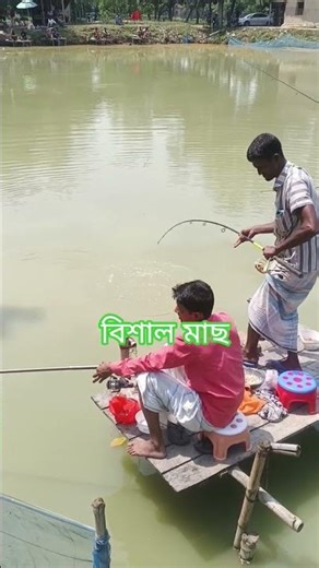 বিশাল রুই মাছ শিকার চলছে #fishing #fishing #foryou