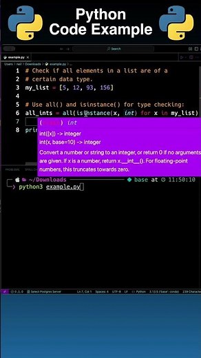 Check if All Elements in a List are the Same Datatype Using Python