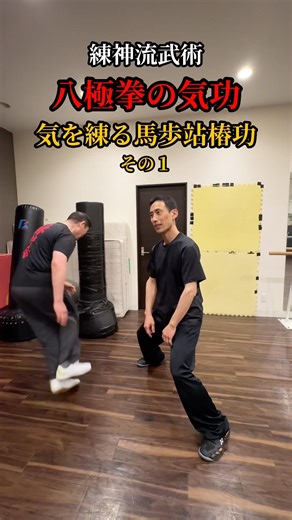 【極意】八極拳の気功！気を練る馬歩站樁功！その１#八極拳#気#練神流武術#練神会芝田道場