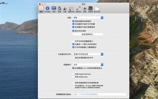 mac高清视频播放器Movist Pro中文版