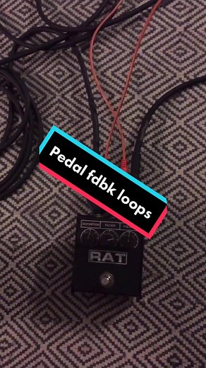 Guitar pedal feedback loops inspired by @jenius.studios @autisticguitarist and @gunderfunk #guitartok #pedals #noise #noisetok #fuzz #feedback #loop