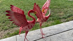 Watch vibrant flamingo statue  on Amazon Live