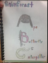 Assessment Portfolio