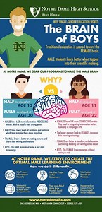 Noted Teaching and Learning Expert Andrew Watson Presents "Translate the Brain" October 13 at 7 pm