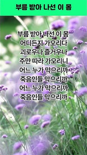 부름 받아 나선 이 몸 (새찬송가 323장) #명언 #좋은글 #음악