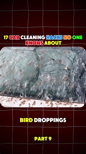 17 Essential Car Cleaning Hacks for Every Car Owner