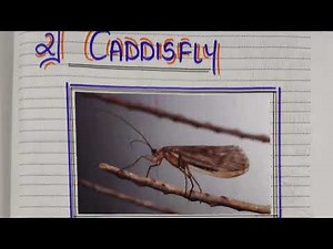 Biology Project :- Biopotential of freshwater invertebrates