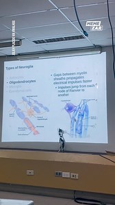 2.9M views · 10K reactions | This cat has crashed a lecture...  | Memezar | Facebook