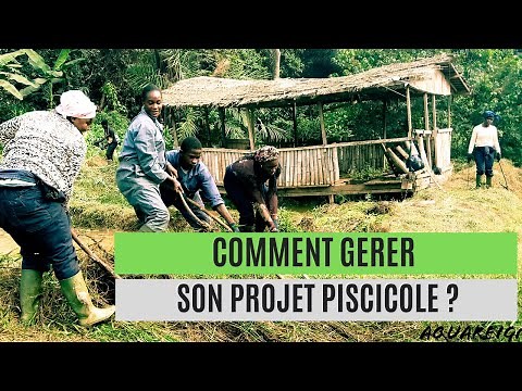 Comment gérer une ferme piscicole
