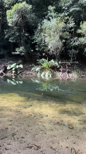 3.7K views | Lydia Rotary on Reels | Facebook