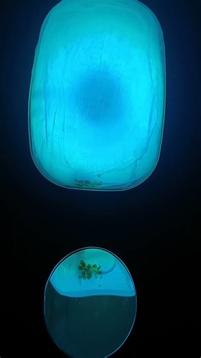 Biofilter Immersive Experience