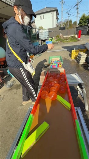 Marble Run ☆ Charisma Max Miss Ebihara Marble Run③