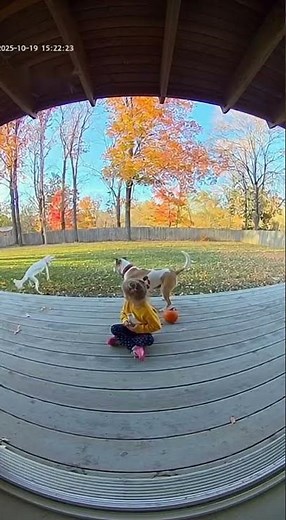 my home on live camera