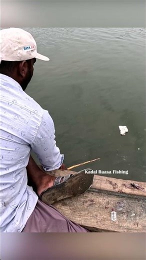 Unique Triple-Hook Setup Catching Rabbit Fish with Bamboo Rod! #fishing #fishingtechniques