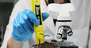 Scientist examines soil acidity in container with cannabis using laboratory PH-meter device in office. Specialist sits next to microscope slow motion