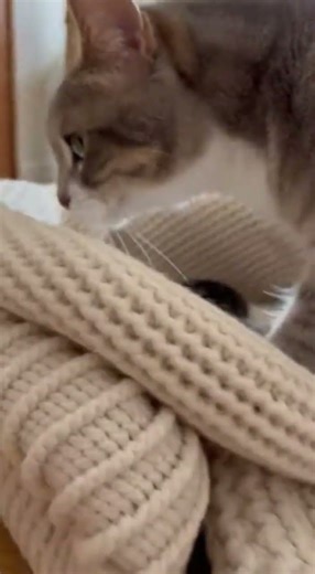 She Wanted Me to See Them