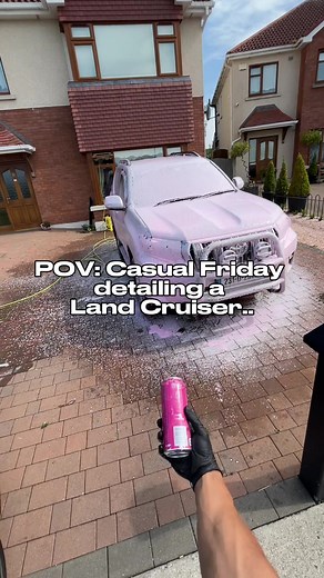 Combating Dog Hair in Car Detailing