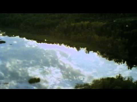 Richard Brautigan poem - All Watched Over by Machines of Loving Grace (HD)