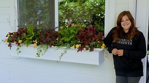 276K views · 10K reactions | Planting a Shaded Windowbox! 殺...