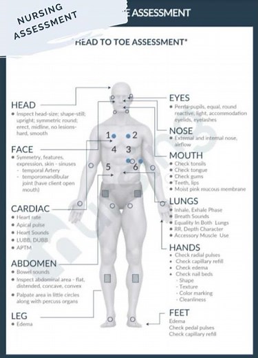 Nursing Assessment (Head To Toe )