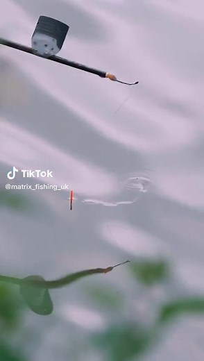 Wait for it.... #Fish #lake #FishingTok #Matrix #Fishing #FYP #Fy #Water