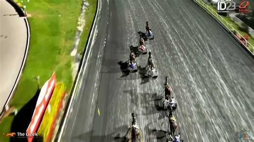 2023 4YO Trotting Entire/Gelding of the Year. | Harness Racing Victoria