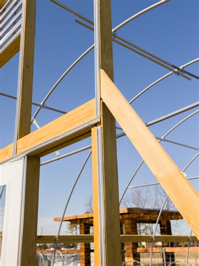 If you’re building a hoop house endwall… read this first. Humidity destroys untreated wood. Drywall screws snap. Plywood traps moisture. No airflow = mold problems. Staples turn into tears. Shortcuts cost more later. Build once. Grow for years. #BackyardGardening #HoopHouseDIY #GreenhouseTips #GardenProjects #GrowBetter #HomeGarden #GardenPlanning #DIYGrower #GardenSetup