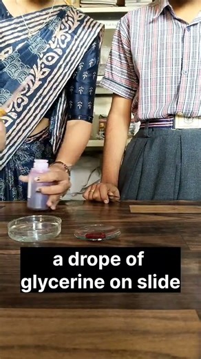 under microscope 🔬 colourful structure of stomata 💫💫🌿🔬