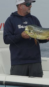 25 reactions | Perfect Size Mahi-mahi! - Part 2 : Local Knowledge S08:E07 “SoCal Small Tuna” Available on YouTube, Waypoint TV & Streaming apps #mahimahi #mahifishing #dorado #doradofishing #dolphinfish #kelppaddies #kelp #socalfishing #socal #sandiegofishing #fishing #sportfishing | Local Knowledge | Facebook