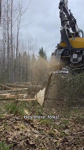 History of CTL in the midwest! Part 1 🪵🍁 #LOGGERMACK #log #forestry #machines | Logger Mack