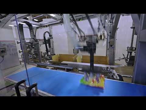 KTB-100 Case Packer with Standing Pouches | PMI KYOTO Packaging Systems