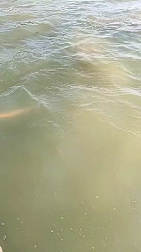 Fishing Adventures: Catching Fish in Rustic Waters