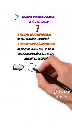 Révision Bac 2025 : Structure Sociale et Économie